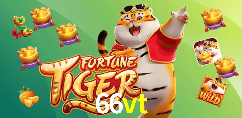 Bonus Features 66vt